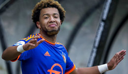 国米签约荷兰球员维列纳 今夏签下的第三名自由球员