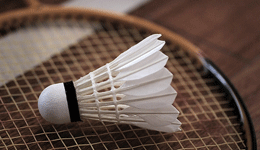 ��ë����ʲô���Ӻ� ��ë�������Ź���