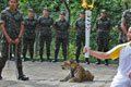 奥运圣火传递美洲豹被枪杀 真的是太血腥