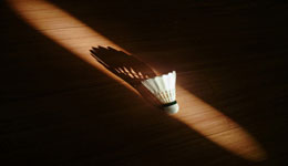 �����ѡ������ë�� ��ë����������ɸѡ�ķ���