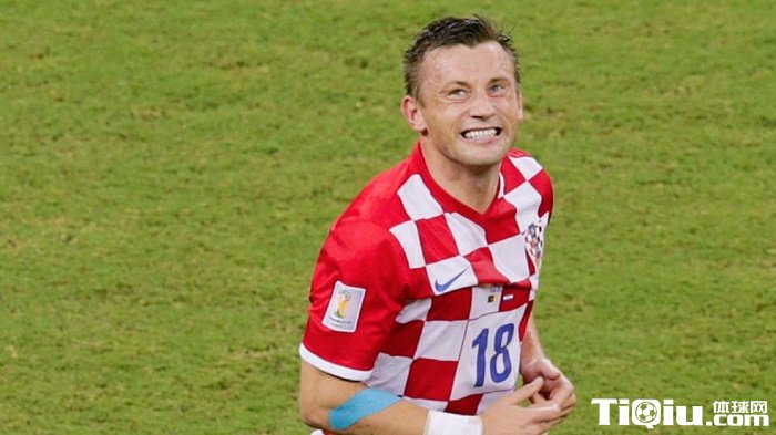 �����棺����Ԥ�ƿ��޵��������ܽ������