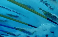 女子100米蝶泳中国无缘前三 瑞典选手打破世界纪录