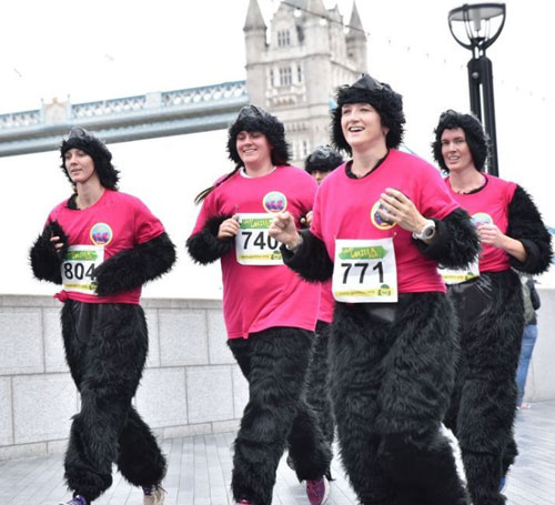 Ӣ���ٰ�����ɴ����� �˰������װ���ļ��