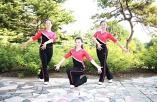 走天涯广场舞 舞蹈视频演示