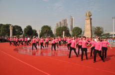 路边的野花你不要采 广场舞舞曲视频推荐