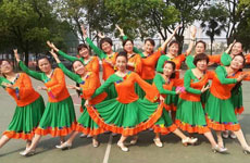 龙的传人广场舞 健身舞曲视频推荐