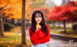 ����������ȽӨӱɹ���� ��������������