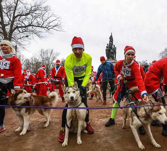 2016圣彼得堡新年赛跑 圣诞老人与萌宠齐跑