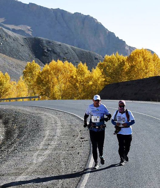 �����صİ����������� ���������ż����龺��