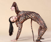 �㶫���򱦱� ���������ݸ��ָ��Ѷ���