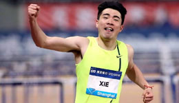 刘翔师弟夺冠 刘翔师弟谢文骏