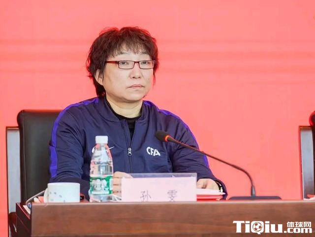 孙雯或难上任足协掌门