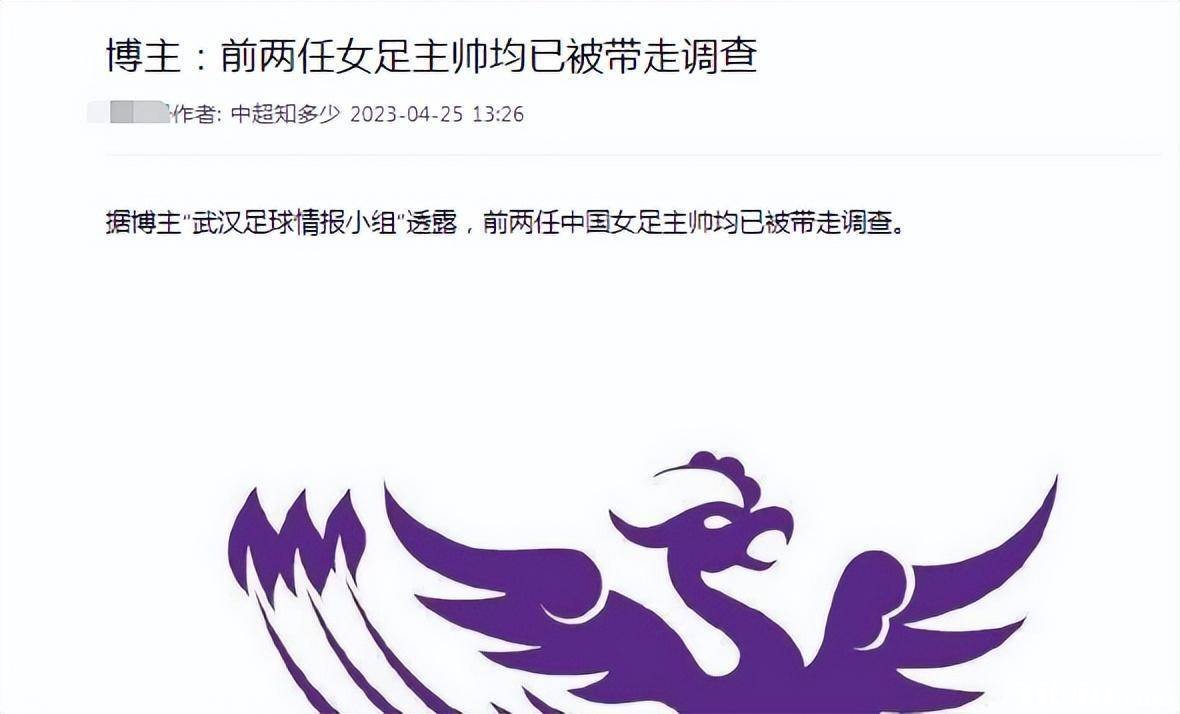 李霄鹏被抓疑似涉及女足