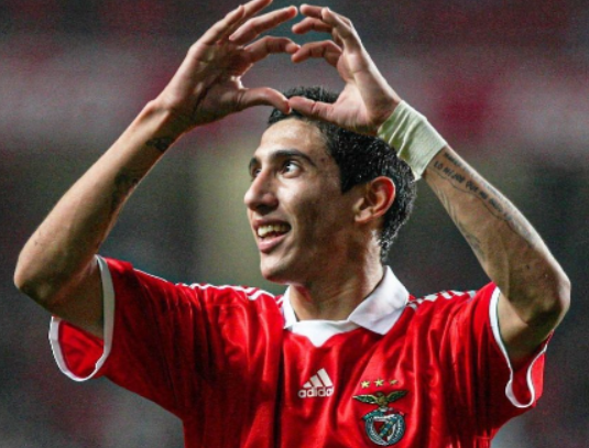 ���ƿ�ϣ����ǩ�������� �����ĺ��̱��ֲ�������