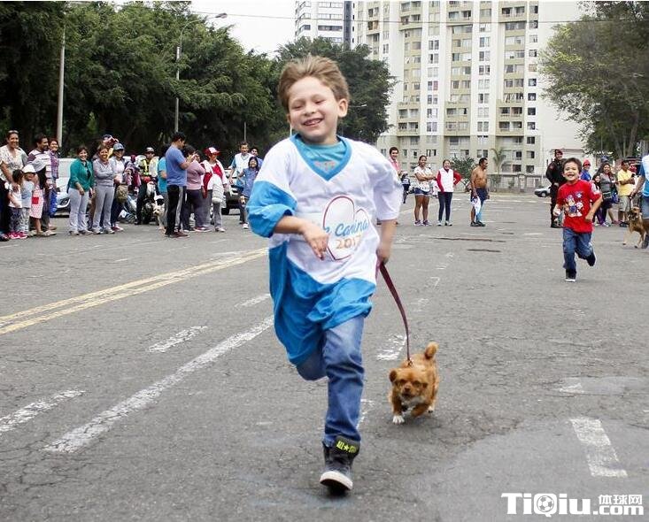 国外带着狗狗跑马拉松 2017秘鲁狗狗马拉松