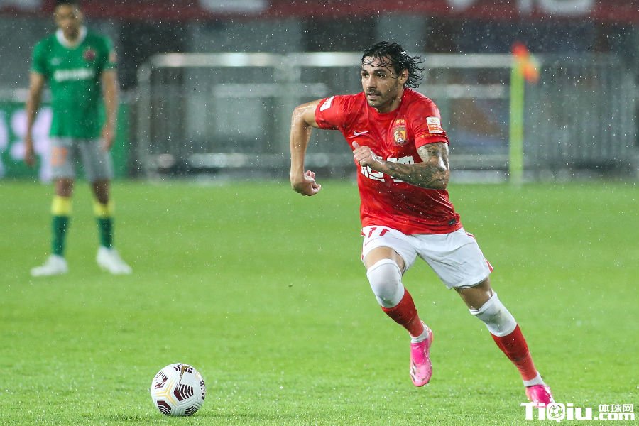 归化并非洪水猛兽盲目才是