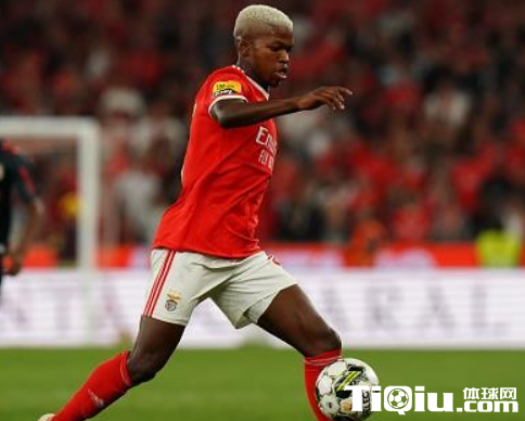 °¢ÉÄÉÓÐÒâÒý½ø¸¥ÂåÂ×µÙŵ