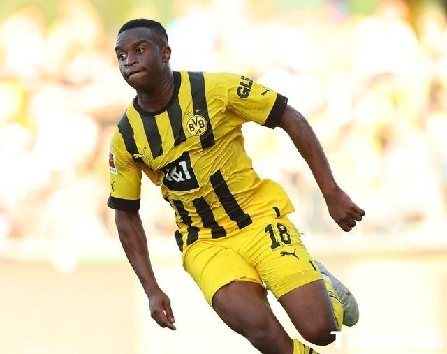 多特蒙德的阿莱什么病